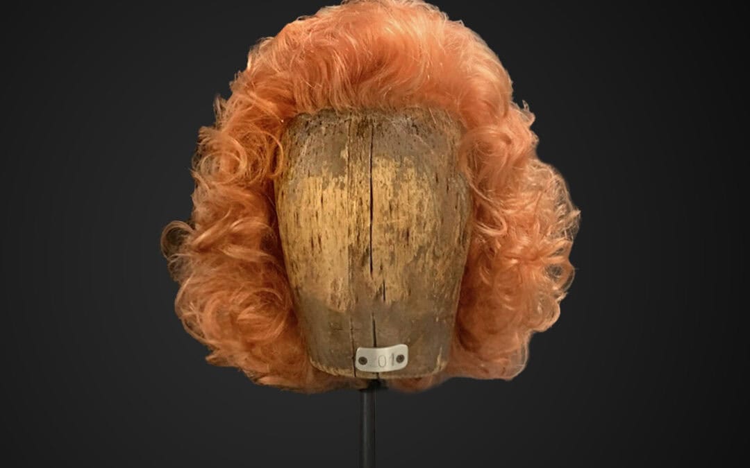 Parrucca riccia stile anni 70