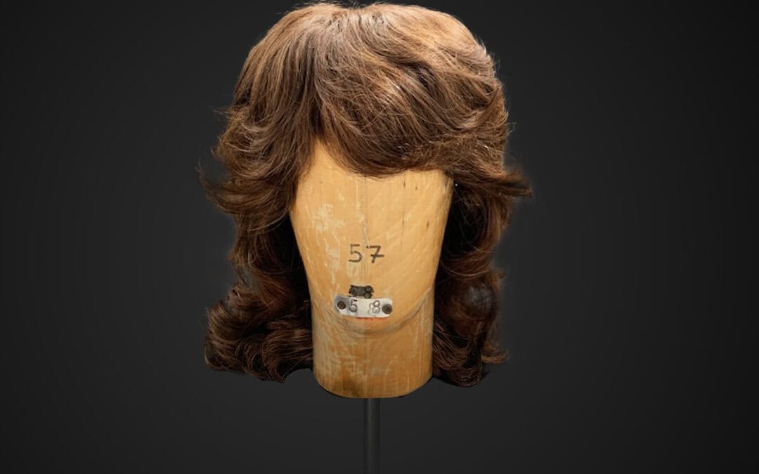 Parrucca castana stile anni 70